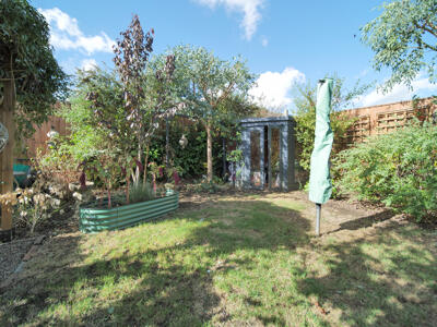 Picture 15